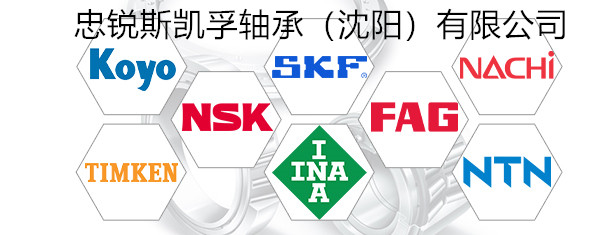 吉林辽源SKF轴承SKF润滑脂-官网授权销售商忠锐斯凯孚轴承（沈阳）有限公司